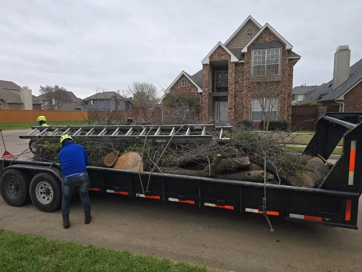 Expert Tree Fertilization with proper safety equipment in Topeka